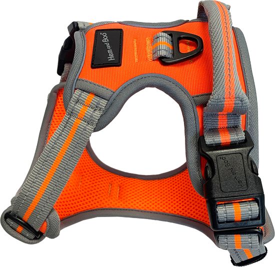 Hem & Boo Sports Harness - Orange