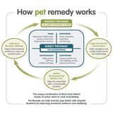 Pet Remedy Party Season Survival Kit