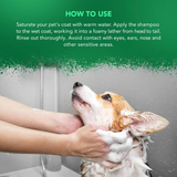Wahl Tea Tree Shampoo