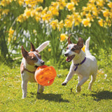KONG Jumbler Ball Medium/Large Dog Toy