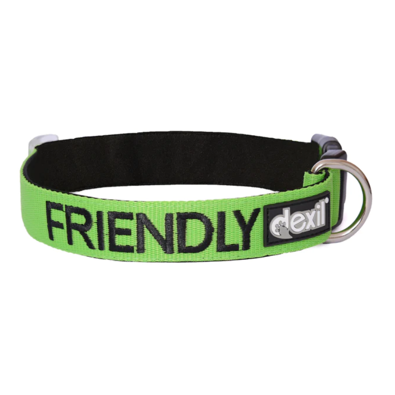 FriendlyDog Friendly Collar