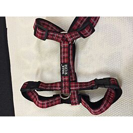 Walk r clearance cise harness