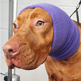 Happy hoodie for discount dogs