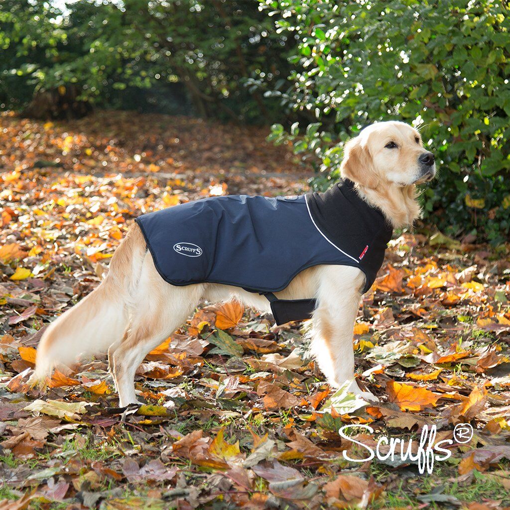 Scruffs best sale thermal coat