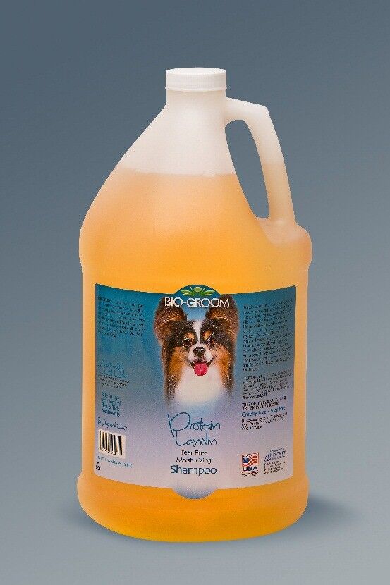 Bio groom protein lanolin shampoo cheap