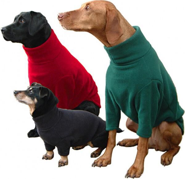 Puppy best sale jumpers uk