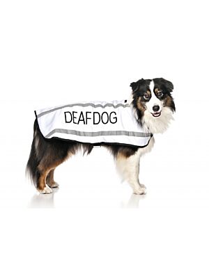 Petcetera Dog Coats Dog Coats Clothing Dog Essentials