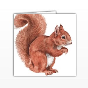 Waggy Dogz Cards - Red Squirrel