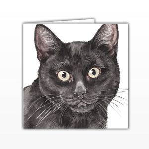 Waggy Dogz Cards - Black Cat