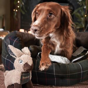 Barbour dog deals beds uk