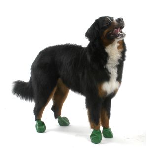 Pawz Dog Boots Coloured