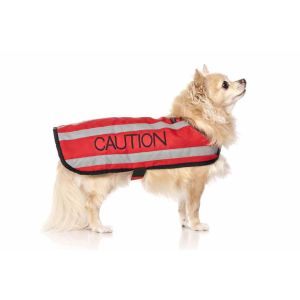 FriendlyDog Caution Dog Coat
