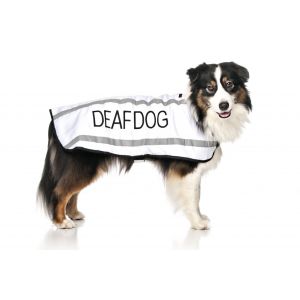 FriendlyDog Deaf Dog Coat