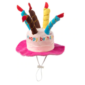 Plush Birthday Party Hat Dog Toy