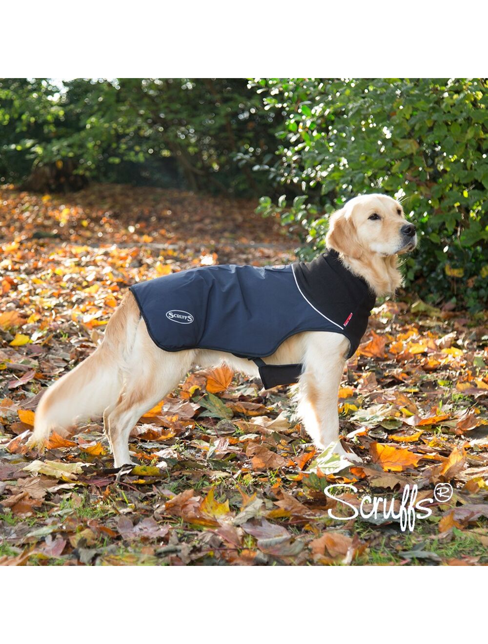 Thermal dog coat top