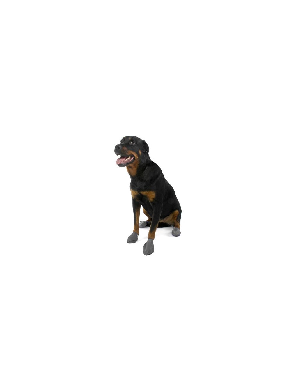 Pawz Dog Boots Black