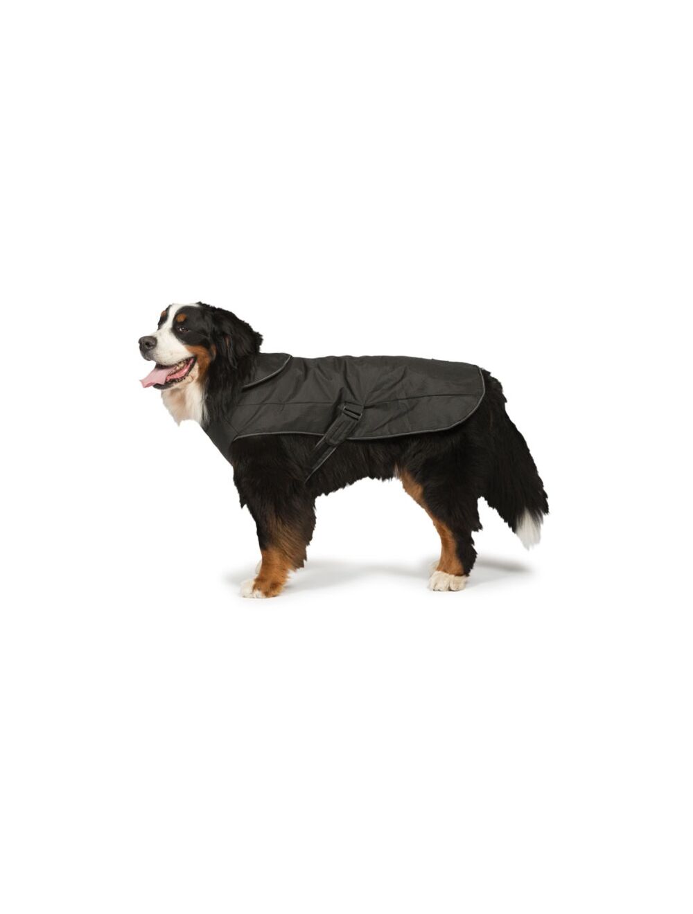 2 in 1 store harness dog coat
