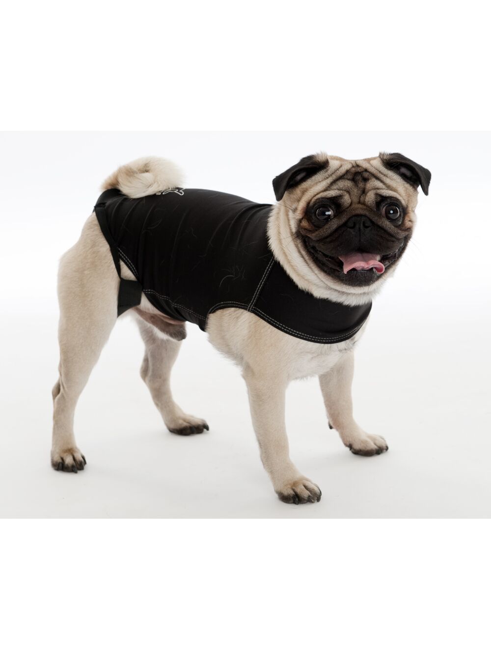 - Buy Anxiety Wrap for your dog from Petcetera - Buy Anxiety Wrap for your dog from Petcetera