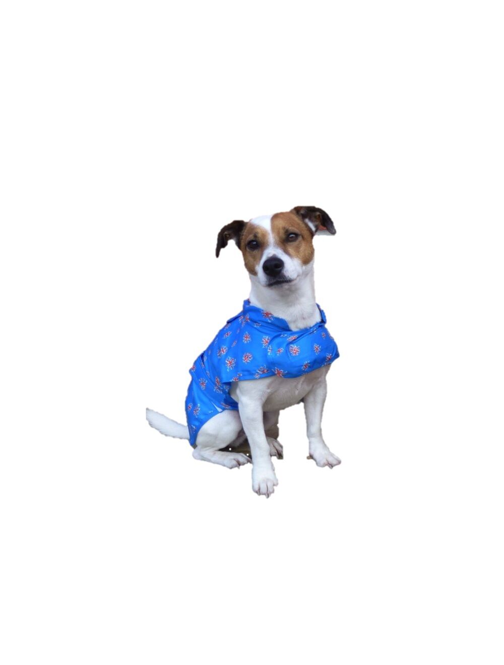 Raincoat that folds into a pouch hot sale