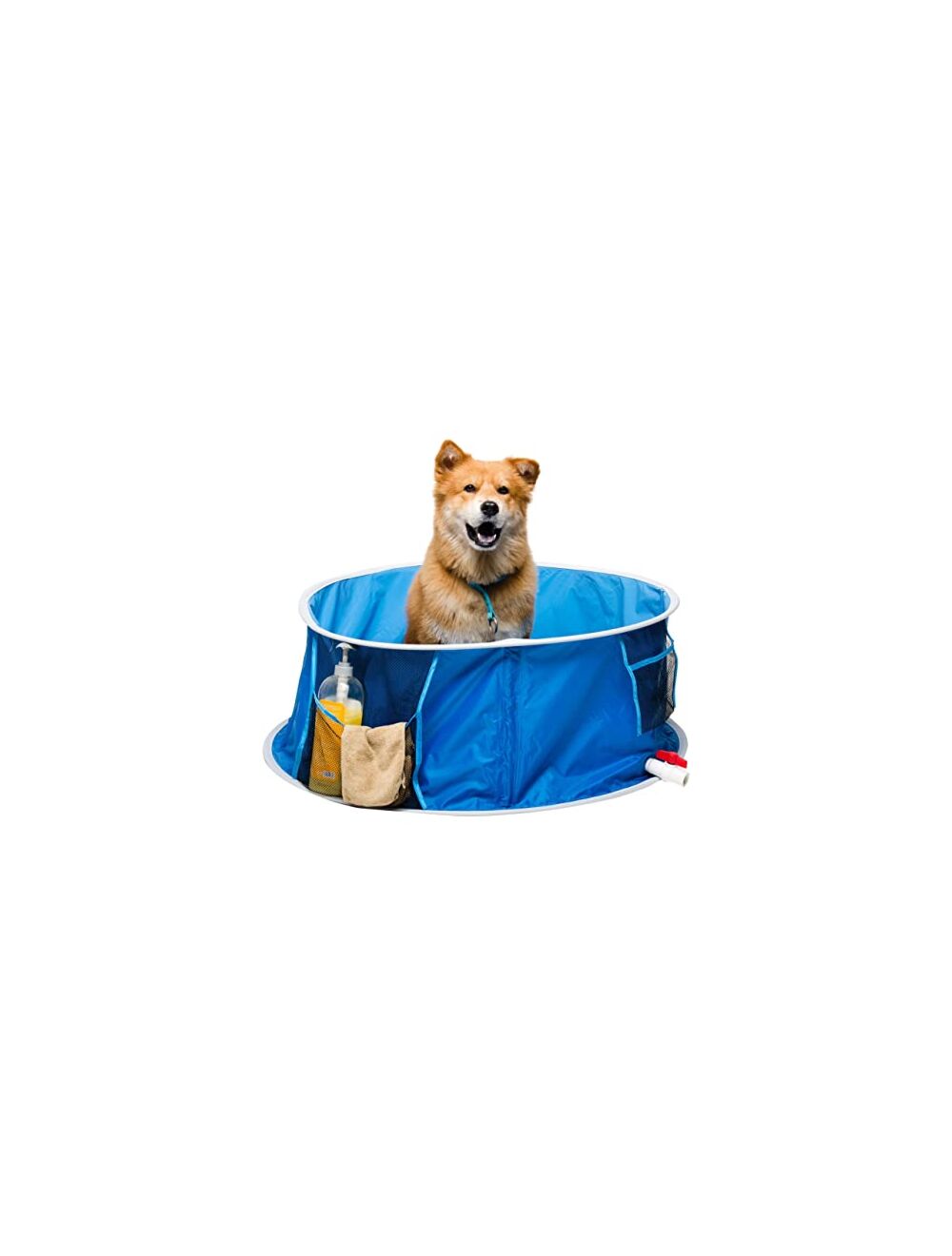 Pop up dog pool clearance