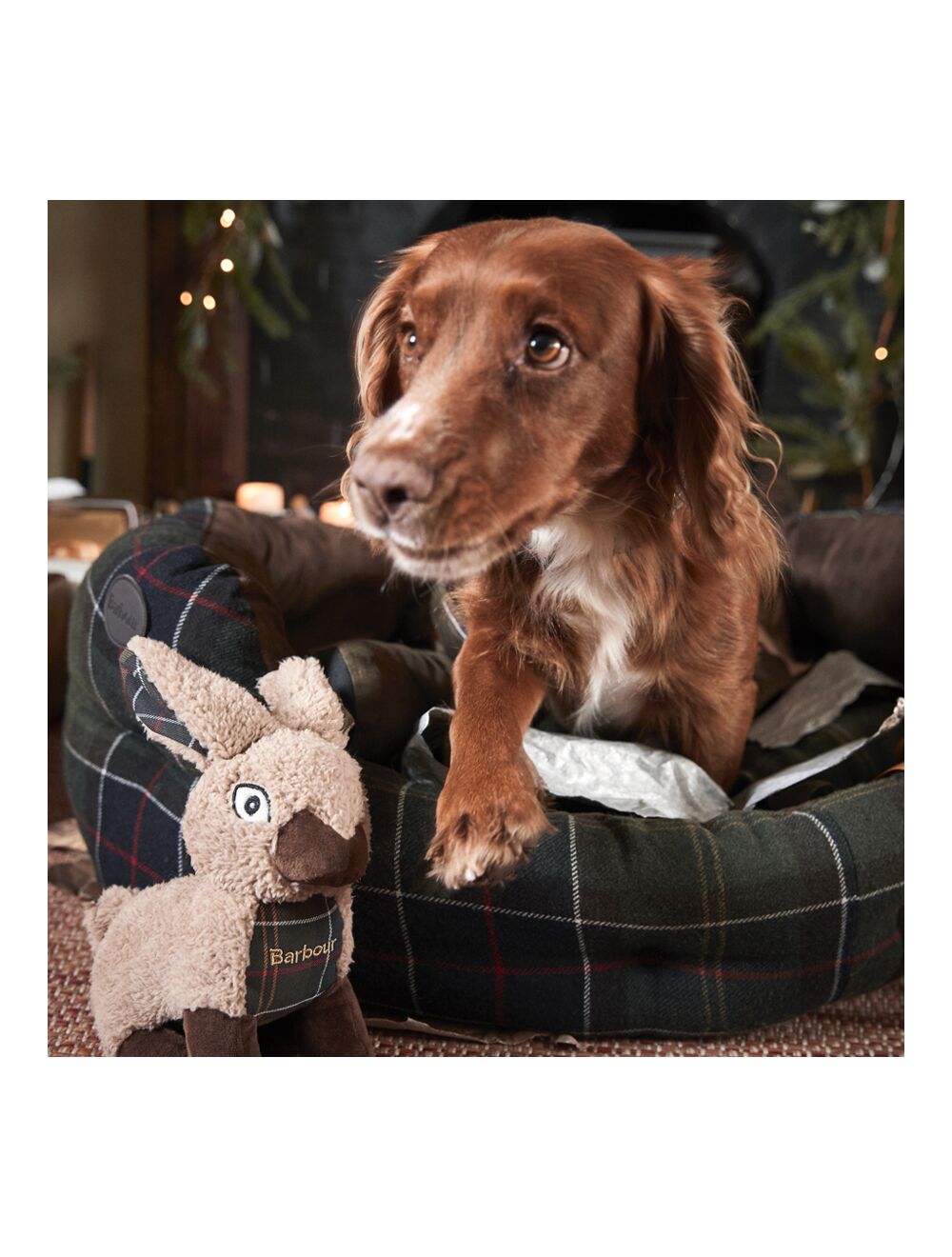 Barbour dog beds uk online