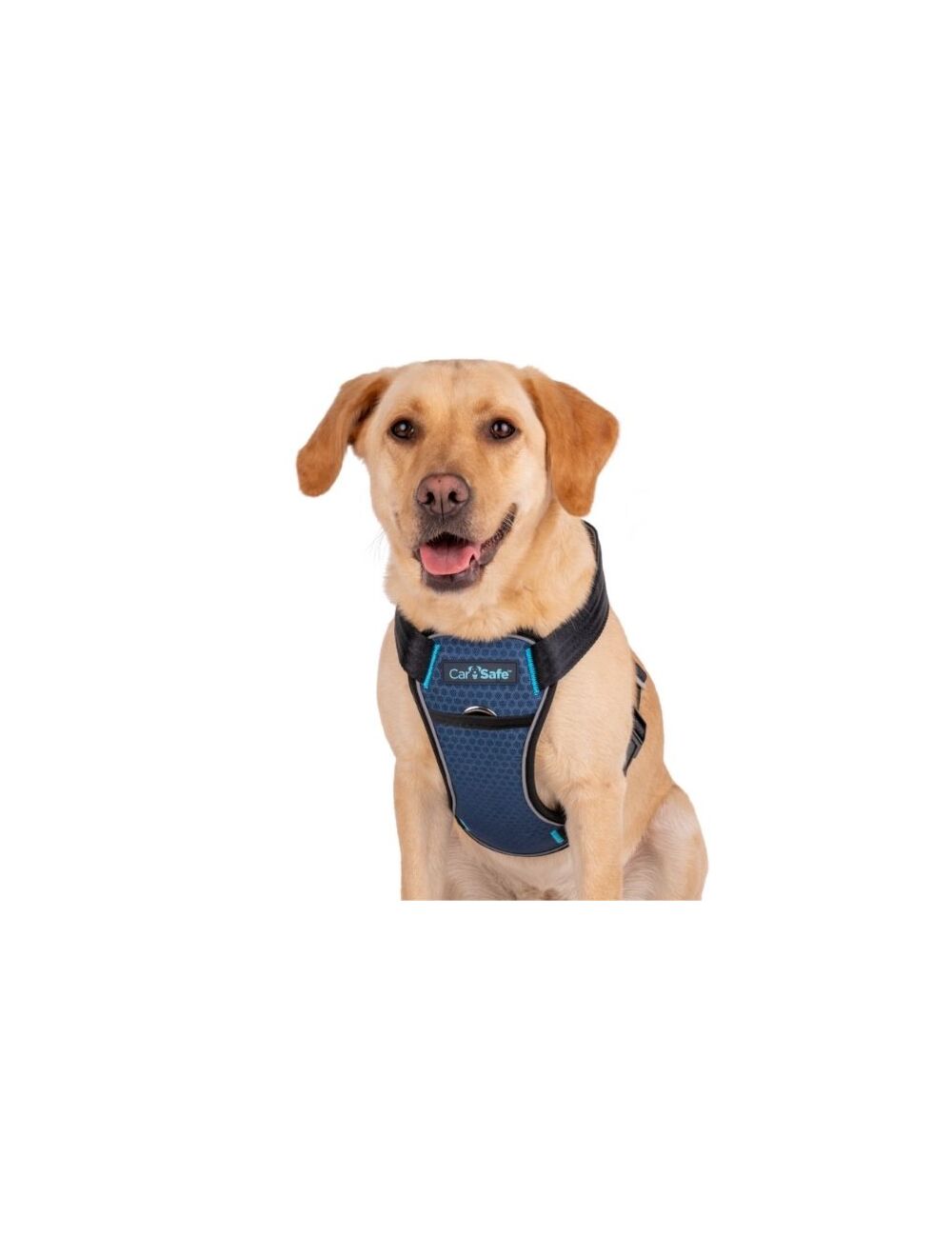 Safety tested dog car harness uk on sale