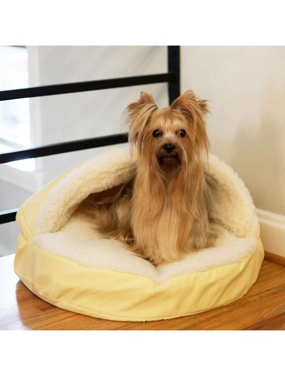 Cuddle cave sale dog bed