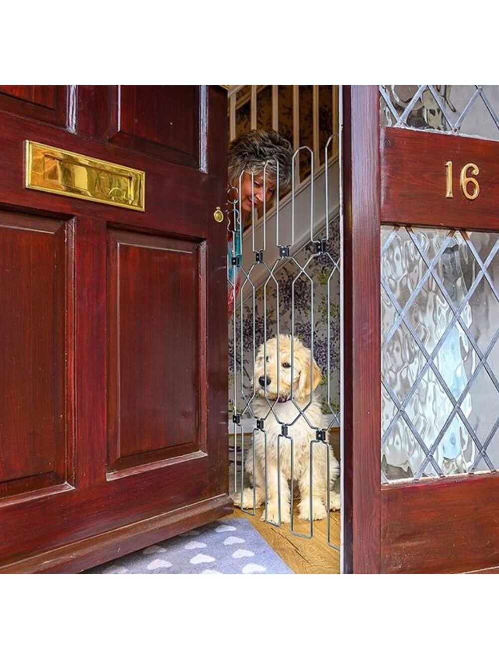 Front door dog gate discount