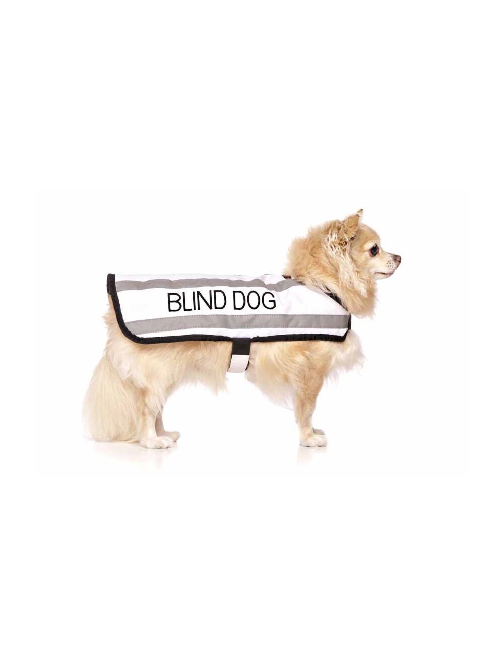 Comfort coat cheap for dogs