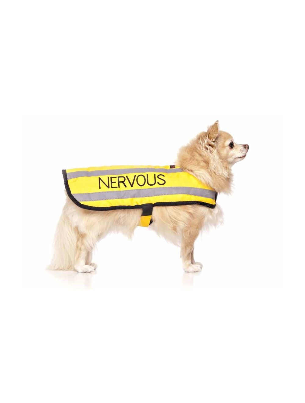 Dog nervous clearance jacket