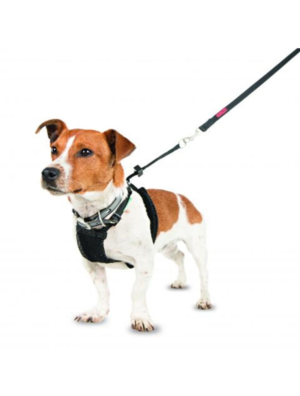Halti No Pull Harness
