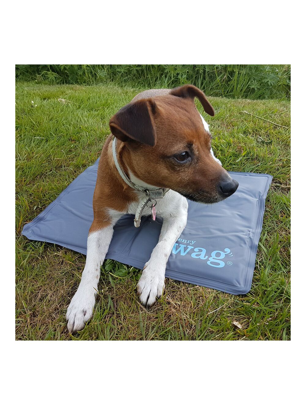 Henry wag cooling mat 2025