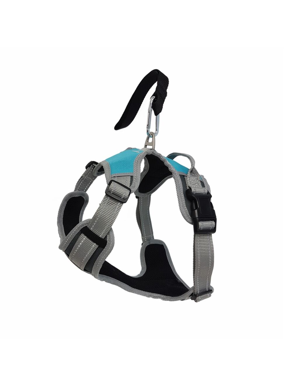 Dog travel harness uk online