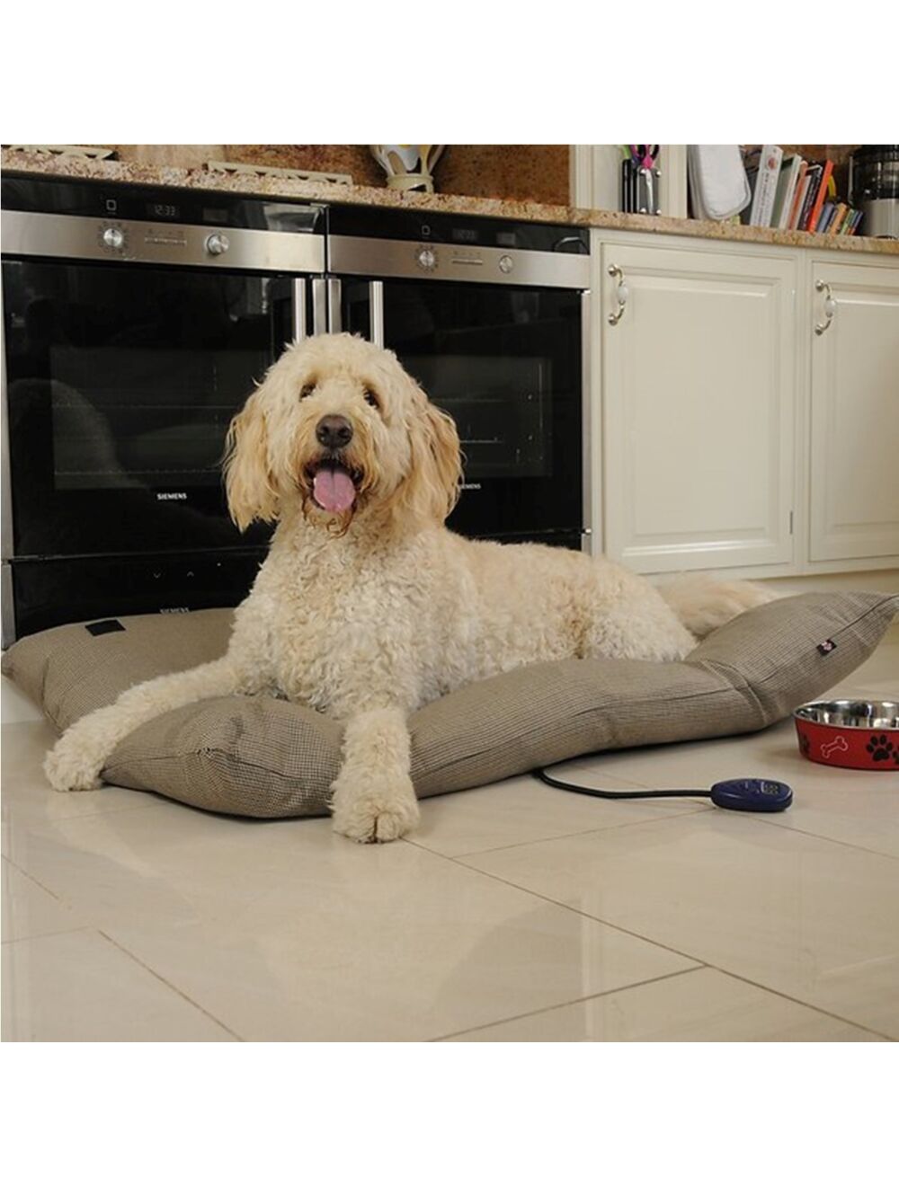 Pressure activated heated dog bed hotsell