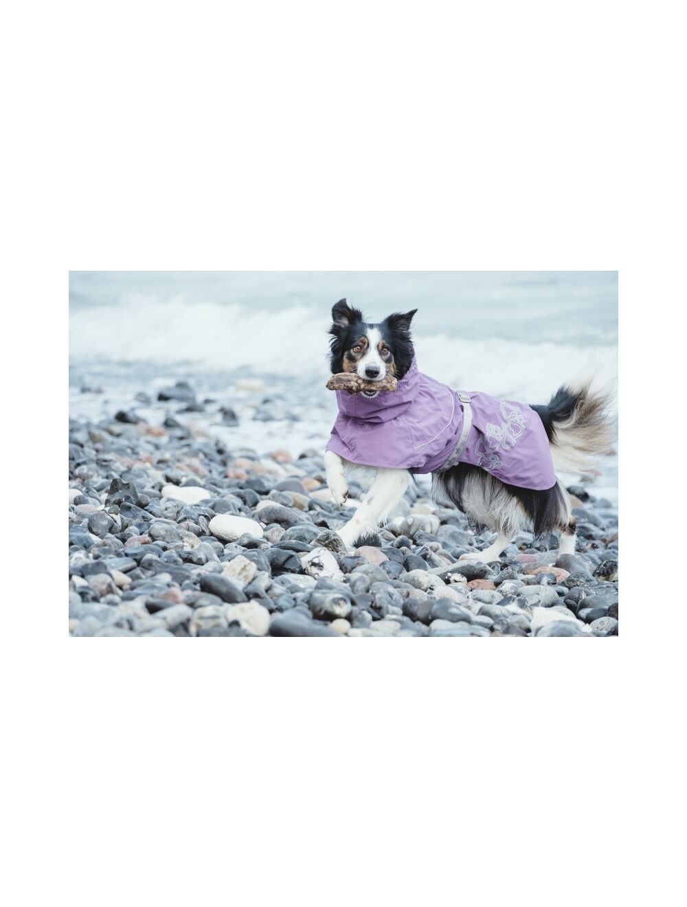 Petcetera Hurtta Drizzle Coat
