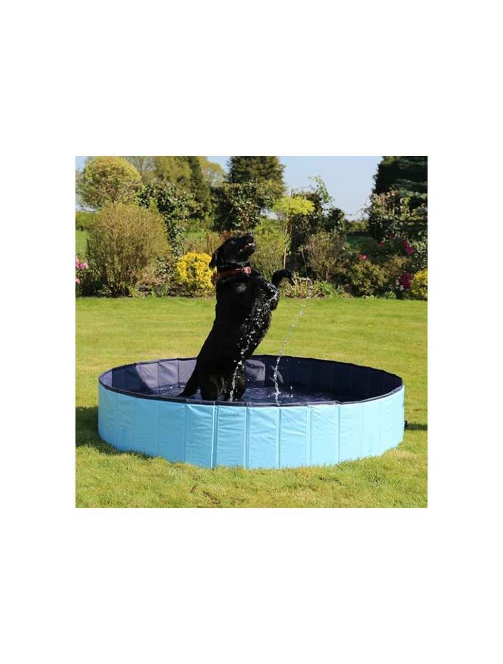 Petcetera Rosewood Foldable Dog Pool