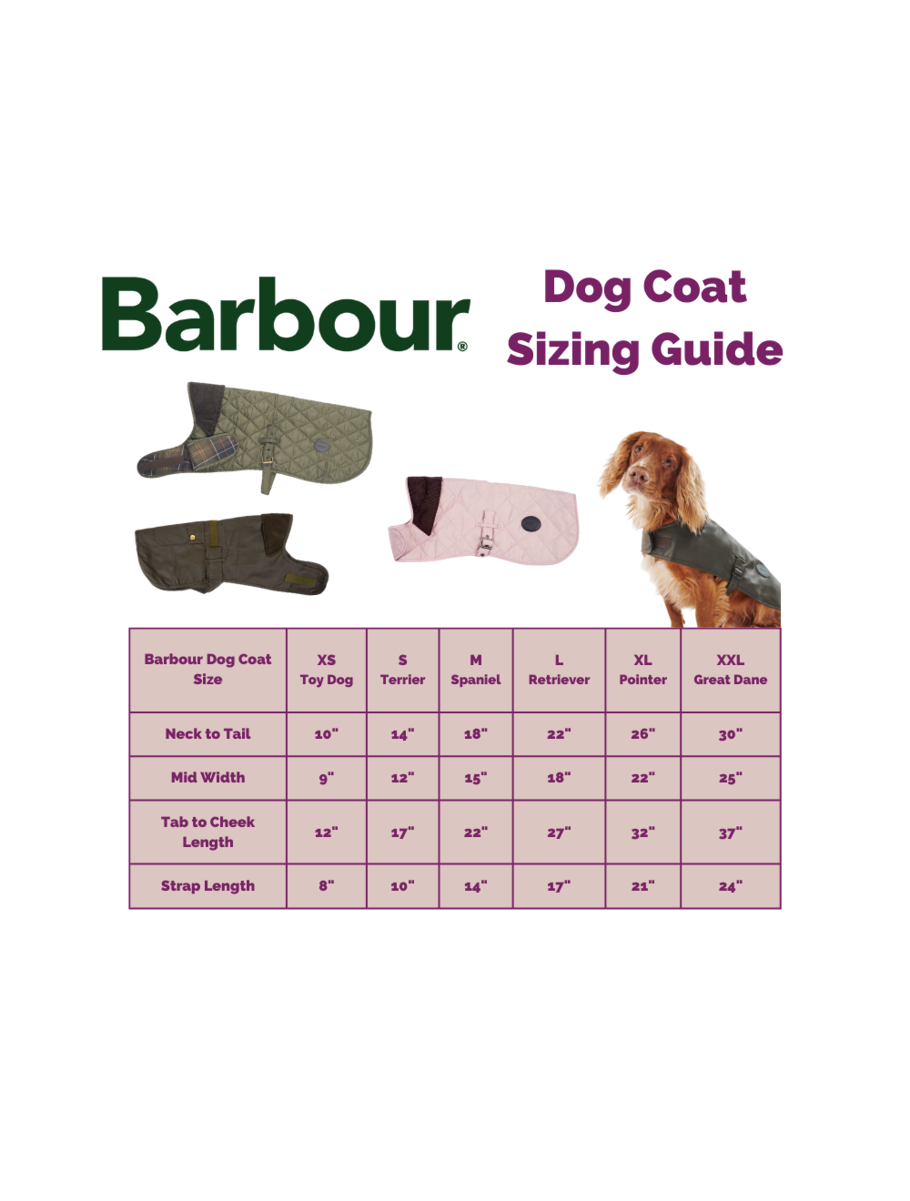 Barbour dog jacket size chart clearance