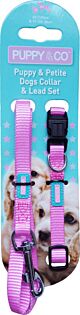 Hem & Boo Puppy and Collar Lead Set - Pink 