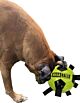 Hem and Boo Pick Me Up Football 9