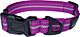 Hem and Boo Sports Collar Purple