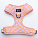 Goody Paws Tutti Fruity Adjustable Harness