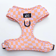 Goody Paws Tutti Fruity Adjustable Harness