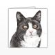 Waggy Dogz Cards - Black & White Cat