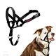Halti Headcollar