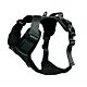 Twiggy Tags Adventure Harness