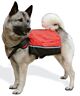 Hi Travel Dog Back Pack large