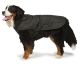 2-in-1 Harness Dog Coat - GREY