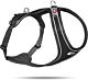 Curli Magnetic Belka Dog Harness in Black