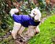 Henry Wag Quilted Jacket Purple