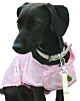 MacPaws Packable Raincoat - Pink Sweetheart